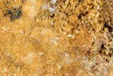 Golden Translucent Mimetite Crystal Cluster - Thailand #266342-1